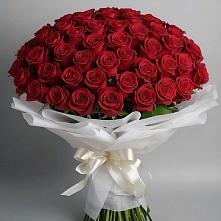 Букет 101 Красная роза Блэк Мэджик в Никольском Воронежской области