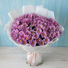 Букет цветов из:  Хризантемы в Никольском Воронежской области