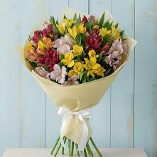 Букет цветов из:  Альстромерии в Никольском Воронежской области