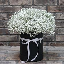 Цветочная композиция из Гипсофила в шляпной коробке в Никольском Воронежской области